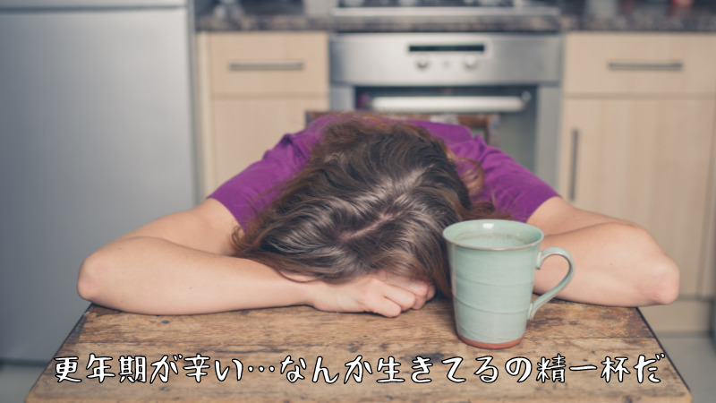 更年期が辛い…なんか生きてるの精一杯だ